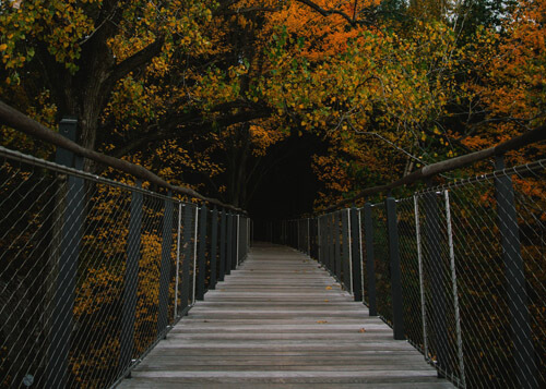 bridge with stainless steel rope net in a park