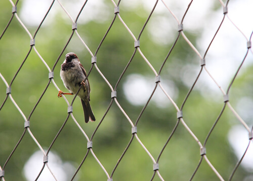 stainless steel bird nets