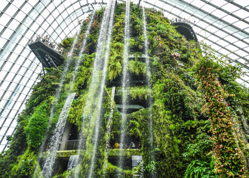 waterfall with green wall